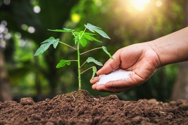 How to Start a Fertilizer Business