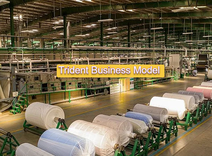 Exploring the Trident Business Model: A Pathway to Sustainable Growth