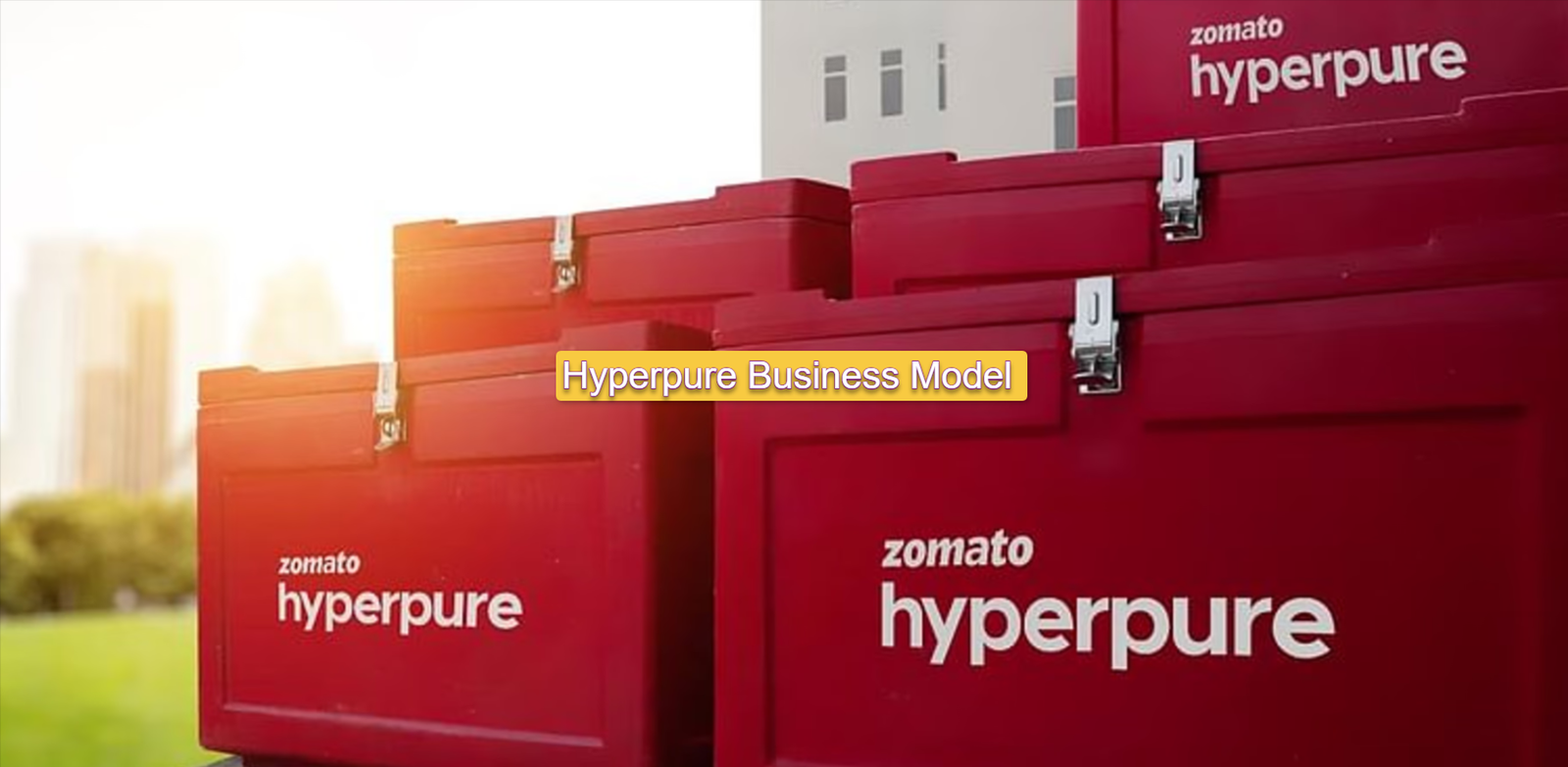 Hyperpure Business Model and its Supply Chain Efficiency